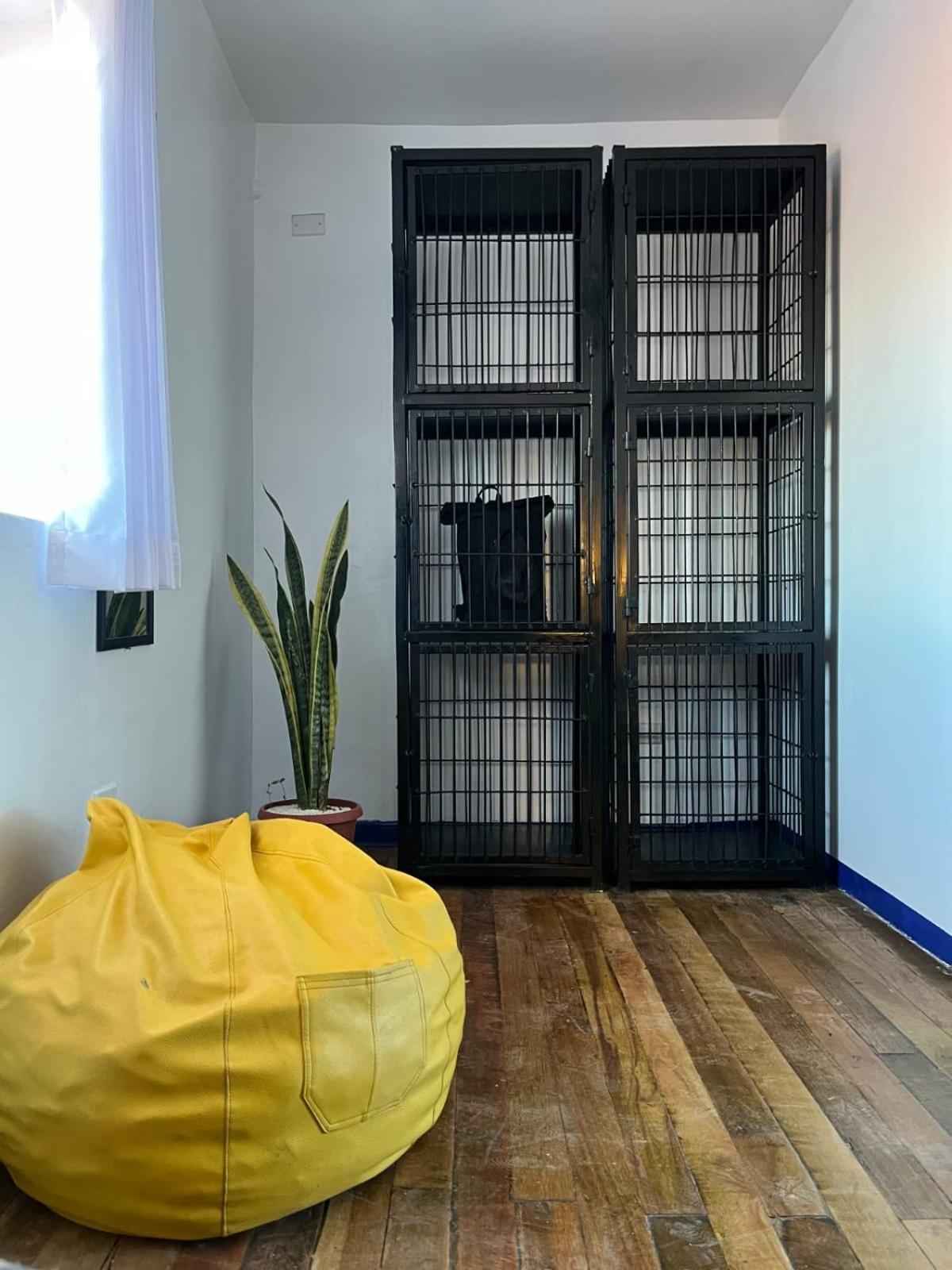 Haku Hostel 쿠스코 외부 사진